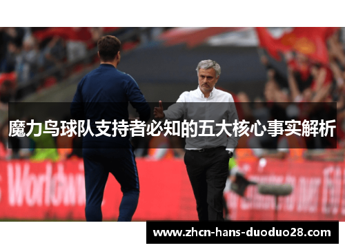 魔力鸟球队支持者必知的五大核心事实解析